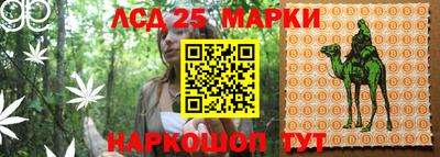 кокс Моздок