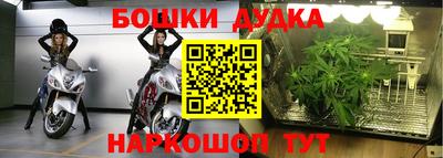 кокс Моздок