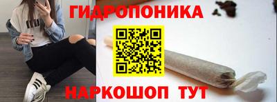 кокс Моздок