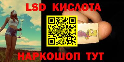 прущие грибы Можайск