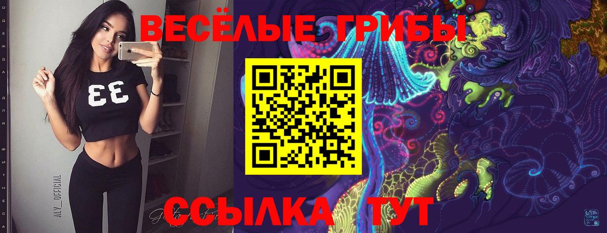 Псилоцибиновые грибы мицелий Туймазы