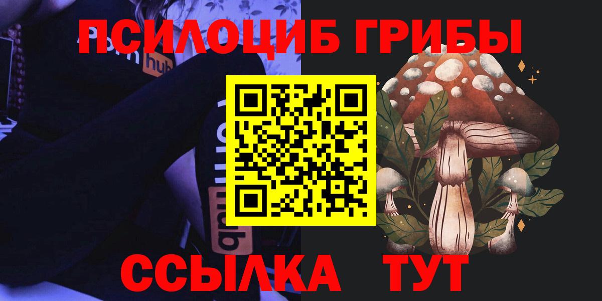 хочу наркоту  Псилоцибиновые грибы прущие грибы  Вход с VPN  Псилоцибиновые грибы MAGIC MUSHROOMS  Туймазы 